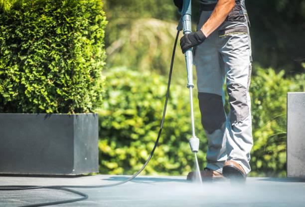 Best Rust Removal  in Olga, FL